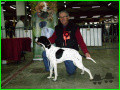 Pedigree NIETTA DELLA RIVAZZA Pedigree NIETTA DELLA RIVAZZA